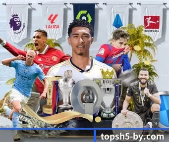 博鱼体育 APP（BOYU Sports）